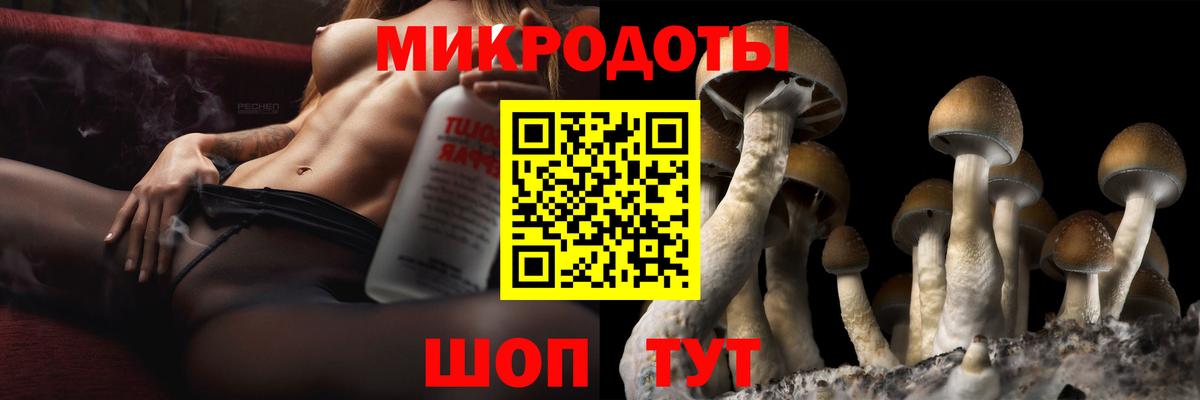 Зеленокумск  Галлюциногенные грибы мицелий  Вход с VPN 