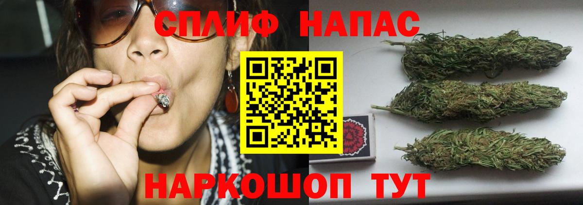 Шишки марихуана план  Бошки марихуана Bruce Banner  Вход с VPN  Бошки марихуана Amnesia  Зеленокумск 